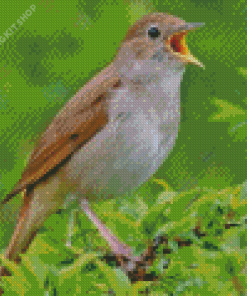 Brown Nightingale Diamond Painting