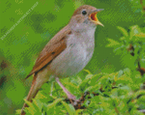 Brown Nightingale Diamond Painting