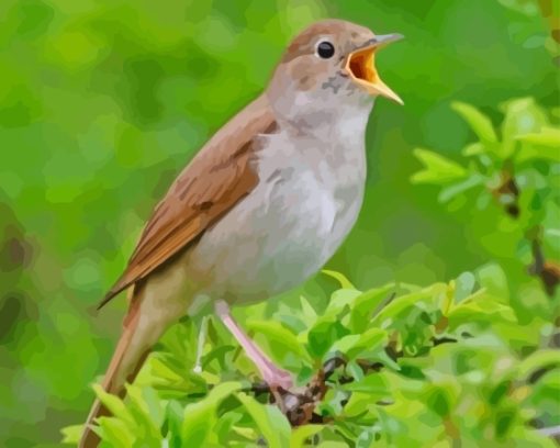 Brown Nightingale Diamond Painting