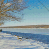 Cayuga Lake In Winter Diamond Painting