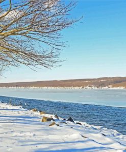 Cayuga Lake In Winter Diamond Painting