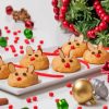 Christmas Mice Cookies Diamond Painting