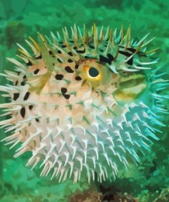 Close Up Puffer Fish Diamond Painting