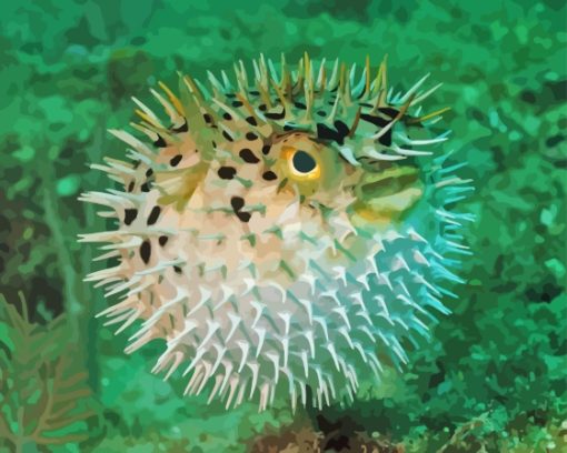 Close Up Puffer Fish Diamond Painting