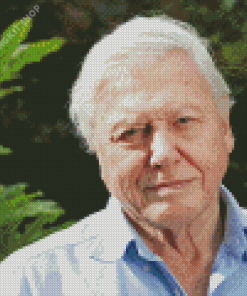 David Attenborough Diamond Painting