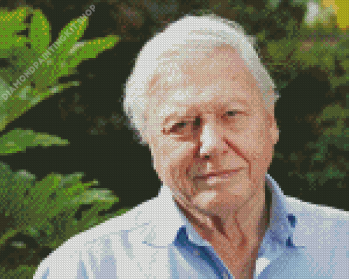 David Attenborough Diamond Painting