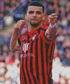 Dominic Solanke Diamond Painting