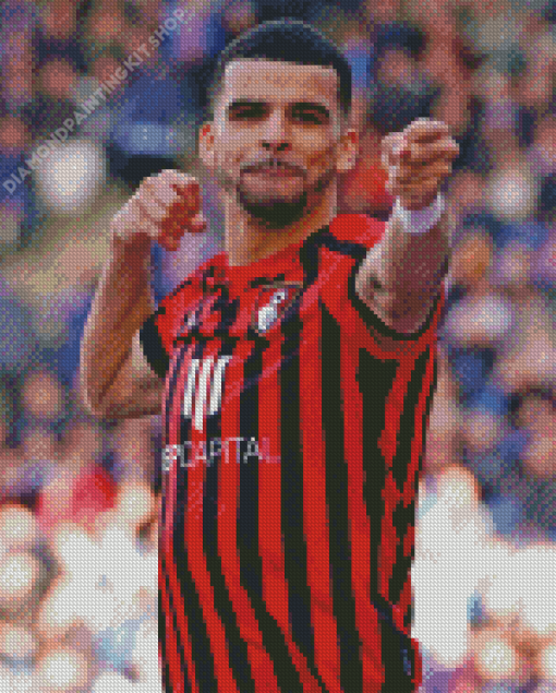 Dominic Solanke Diamond Painting