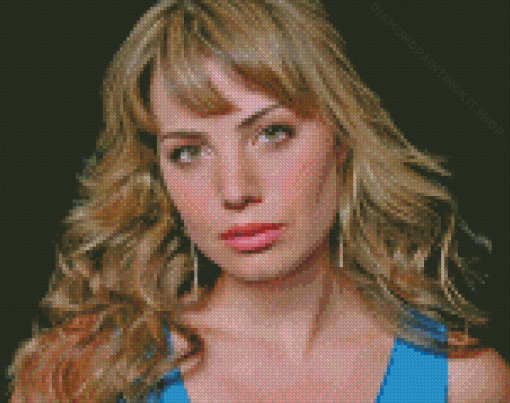 Erica Durance Diamond Painting