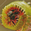 Fly Hunted by Carnivorous Plant Diamond Painting