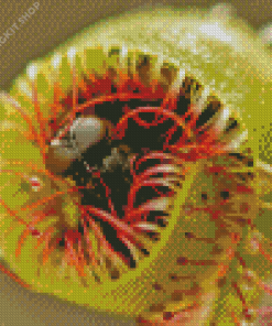 Fly Hunted by Carnivorous Plant Diamond Painting