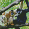 Gibbons Monkeys Diamond Painting