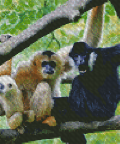 Gibbons Monkeys Diamond Painting