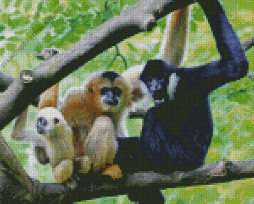 Gibbons Monkeys Diamond Painting