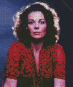 Natalie Wood Diamond Painting