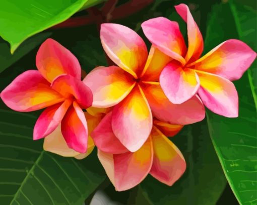 Pink and Orange Frangipani Plumeria Flowers Diamond Painting