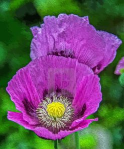 Purple Poppies Flowers Diamond Painting