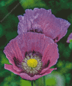 Purple Poppies Flowers Diamond Painting