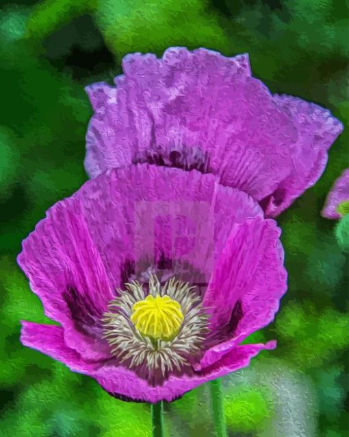 Purple Poppies Flowers Diamond Painting