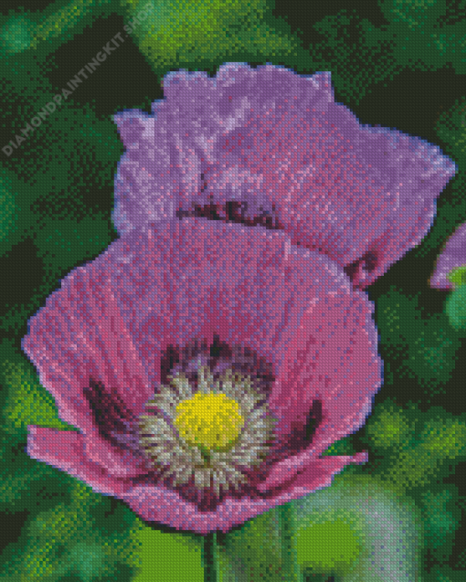 Purple Poppies Flowers Diamond Painting