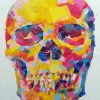 Rainbow Head Skull Diamond Painting