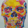 Rainbow Head Skull Diamond Painting