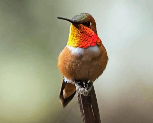 Rufous Hummingbird Diamond Painting