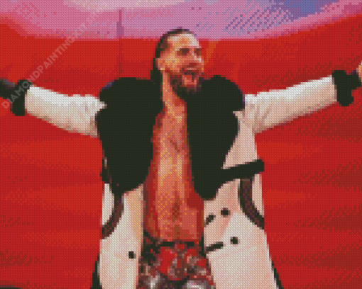 Seth Rollins Diamond Painting