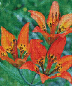 Western Red Lilies Plant Diamond Painting