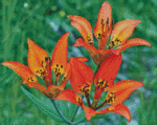 Western Red Lilies Plant Diamond Painting