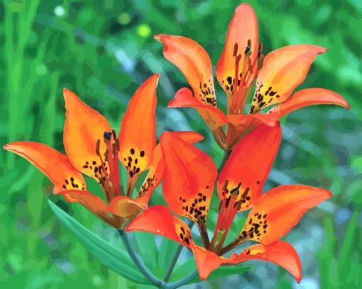 Western Red Lilies Plant Diamond Painting