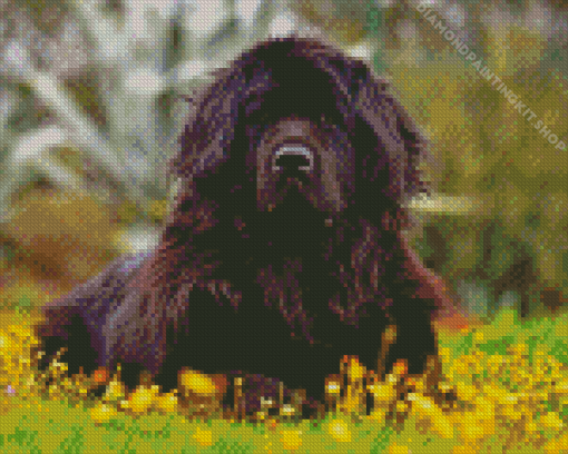 Aesthetic Newfoundland Dog Diamond Painting