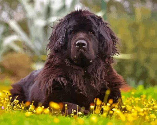 Aesthetic Newfoundland Dog Diamond Painting