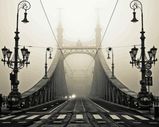 Black And White Budapest Liberty Bridge Diamond Painting