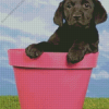 Black Labrador Retriever In Flowers Pot Diamond Painting