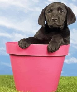 Black Labrador Retriever In Flowers Pot Diamond Painting