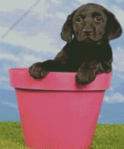 Black Labrador Retriever In Flowers Pot Diamond Painting