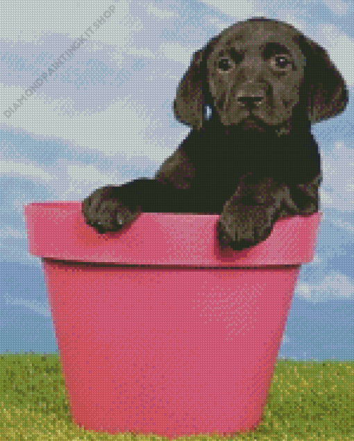 Black Labrador Retriever In Flowers Pot Diamond Painting