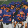 Clemson University Baseball Team Diamond Painting