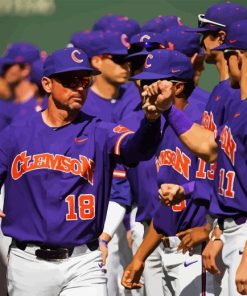 Clemson University Baseball Team Diamond Painting