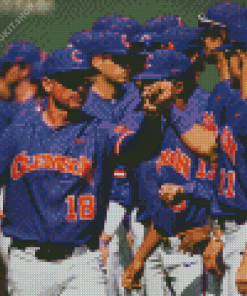 Clemson University Baseball Team Diamond Painting