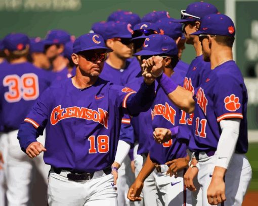 Clemson University Baseball Team Diamond Painting