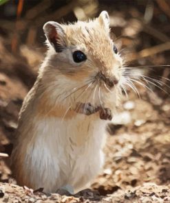 Cute Mongolian Gerbil Diamond Painting