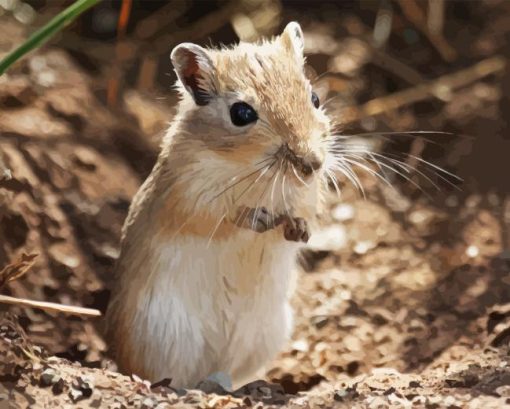 Cute Mongolian Gerbil Diamond Painting