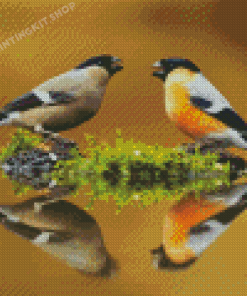 Eurasian Bullfinch Birds Couple Reflection Diamond Painting