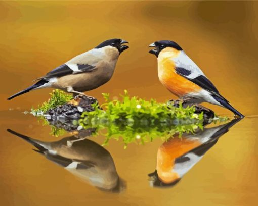 Eurasian Bullfinch Birds Couple Reflection Diamond Painting