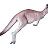 Grey Kangaroo Art Diamond Painting