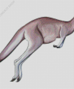 Grey Kangaroo Art Diamond Painting