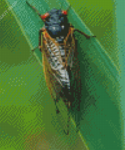 Insect Cicadas Diamond Painting