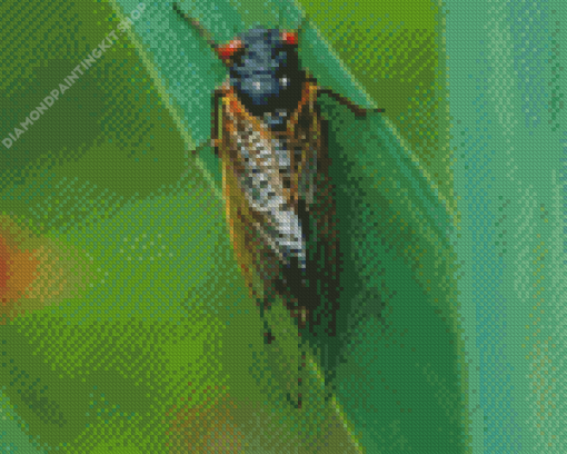 Insect Cicadas Diamond Painting